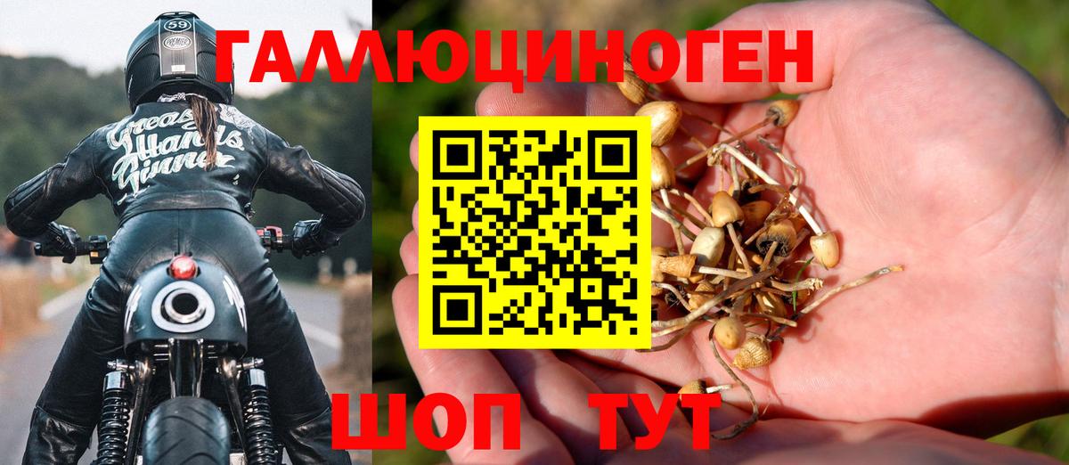 Псилоцибиновые грибы Psilocybe  Вход с VPN  Мегион 